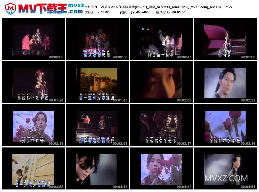 潘美辰-你说你不敢爱我(演唱会)_国语_流行歌曲_MA306610
